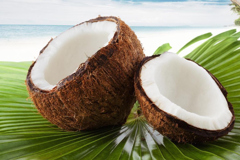 Intercropping in Coconuts