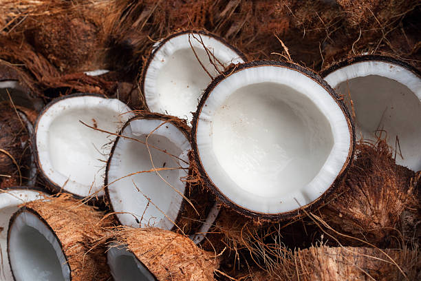 Coconut Nutrition Management in India