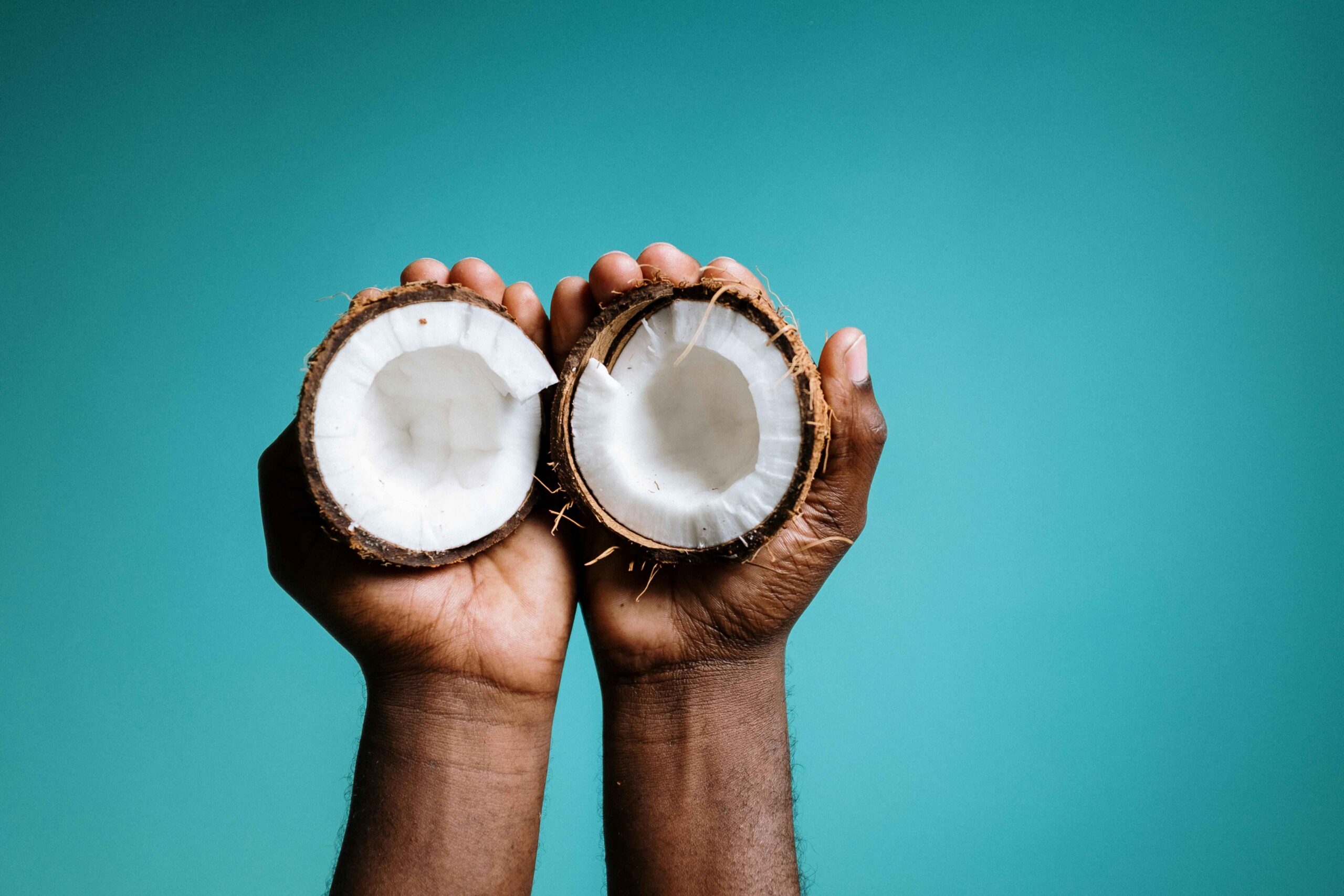 Comprehensive PGPM Program for Coconut Cultivation